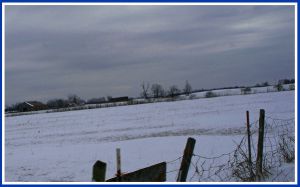 snow storm fields
